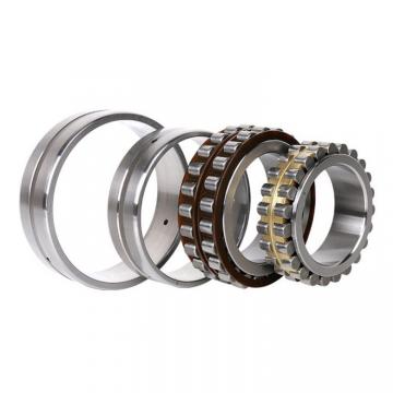 2.165 Inch | 55 Millimeter x 4.724 Inch | 120 Millimeter x 1.142 Inch | 29 Millimeter  CONSOLIDATED BEARING NJ-311 M W/23  Cylindrical Roller Bearings